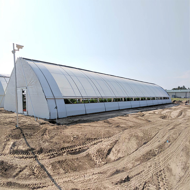 Skyplant Considerable Economical Greenhouse with Cooling System For Vegetable Grow Tents Agricultural Mushroom Tunnel Greenhouse