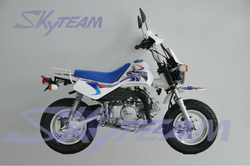 SKYTEAM 50CC 4 STROKE BAJA MONKEY DIRT MOTORCYCLE