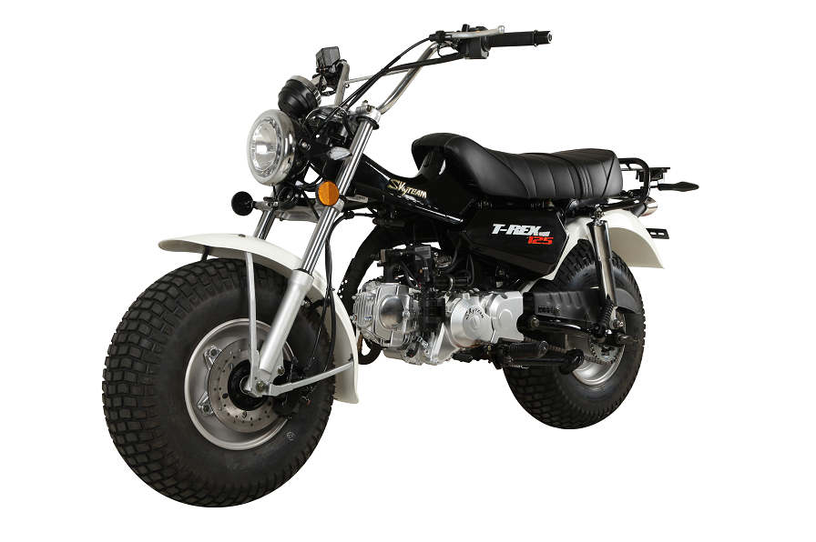 SKYTEAM 125cc E5 4 stroke T-REX RV90 vanvan beach motorcycle dirt bike (EEC EURO5 EURO4 approval)