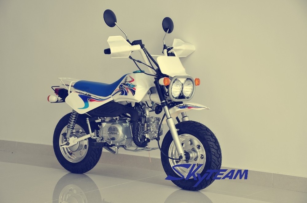 SKYTEAM 50CC 4 STROKE BAJA MONKEY DIRT MOTORCYCLE