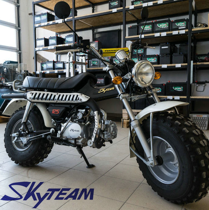 SKYTEAM T-REX 50cc 4 stroke on road motorcycle (EEC approved, 5.5-10