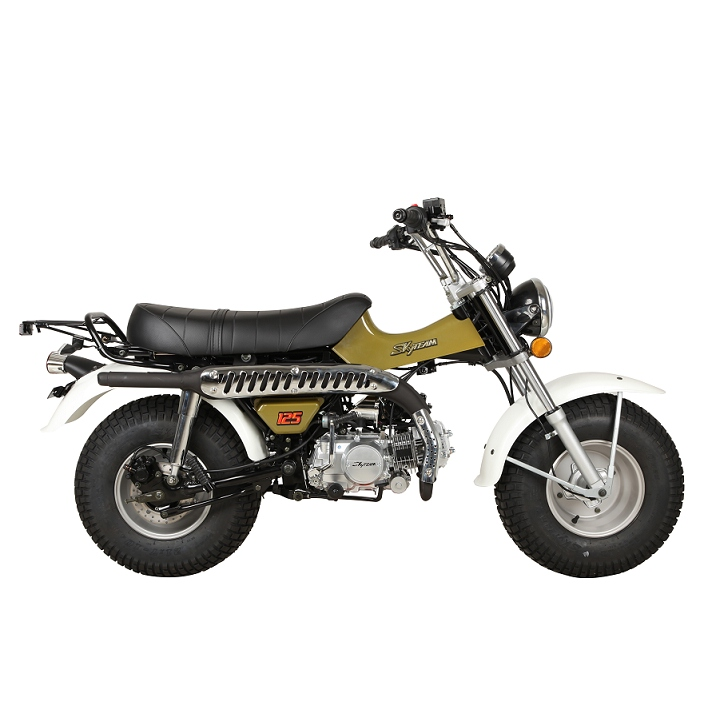 SKYTEAM 125cc E5 4 stroke T-REX RV90 vanvan beach motorcycle dirt bike (EEC EURO5 EURO4 approval)