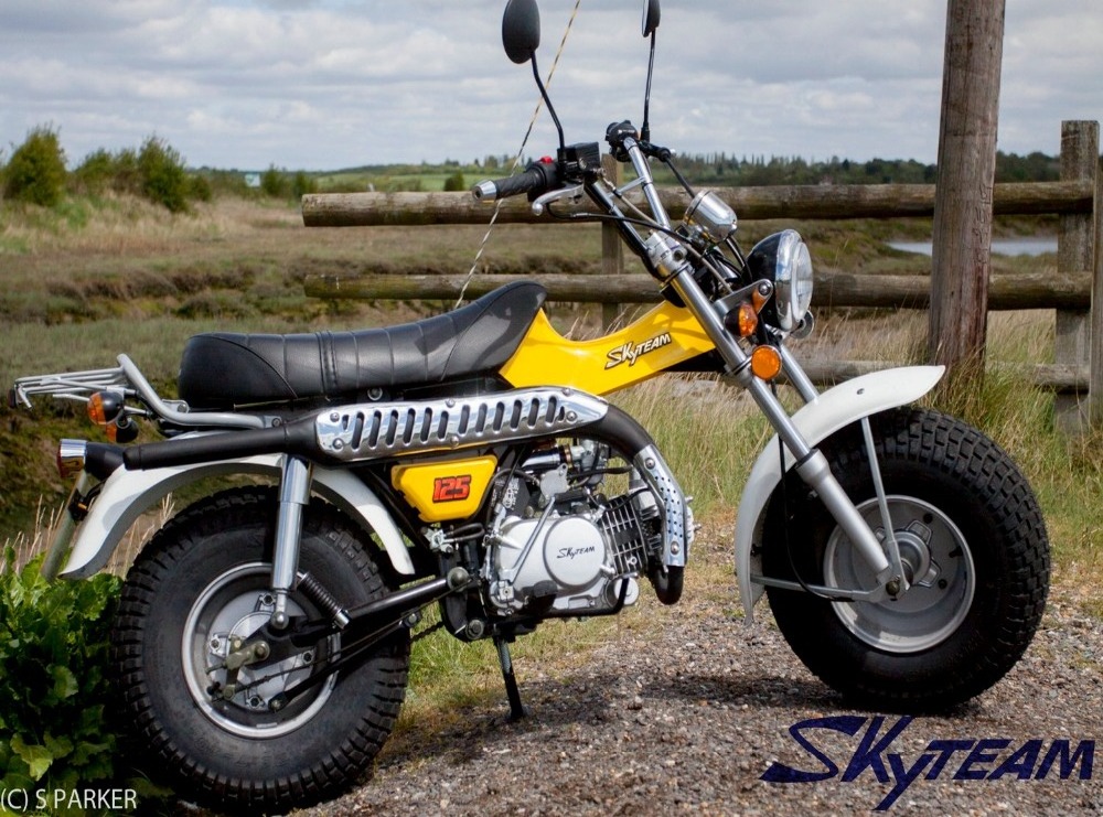 SKYTEAM T-REX 50cc 4 stroke on road motorcycle (EEC approved, 5.5-10