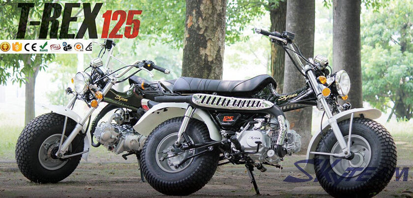 SKYTEAM T-REX 50cc 4 stroke on road motorcycle (EEC approved, 5.5-10