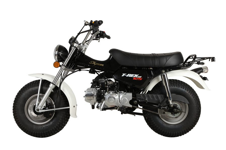 SKYTEAM 125cc E5 4 stroke T-REX RV90 vanvan beach motorcycle dirt bike (EEC EURO5 EURO4 approval)