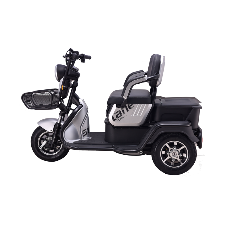 SLANE newest hot selling 3 wheels electric motorcycles powerful offroad citycoco 1000w e-tricycle