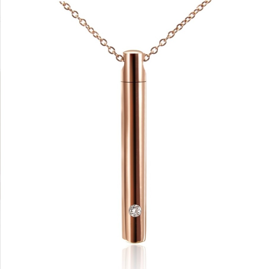 Stainless Steel Memorial Pet Ashes Cremation Urn Perfume Bottle Necklace with Zircon Stone