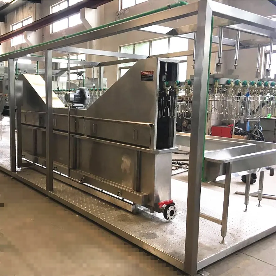 Automatic Poultry Duck Goose Defeathering butcher Abattoir equipment Chicken Scalder And Plucker Machine Broiler Slaughter