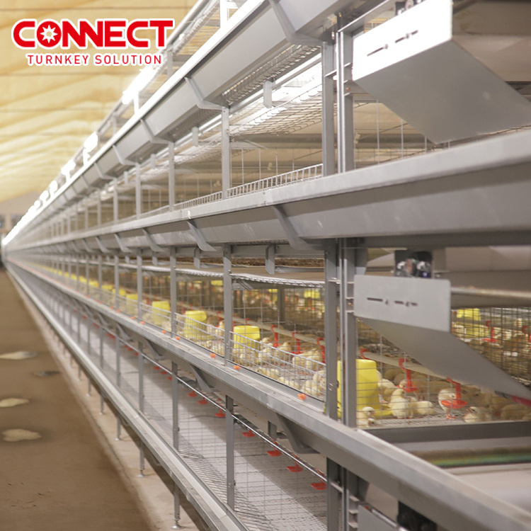 Poultry Cage Battery Rooster Farming Equipment Automatic Chicken Cage System Laying Hen Broiler Chicken Cage For Chook House