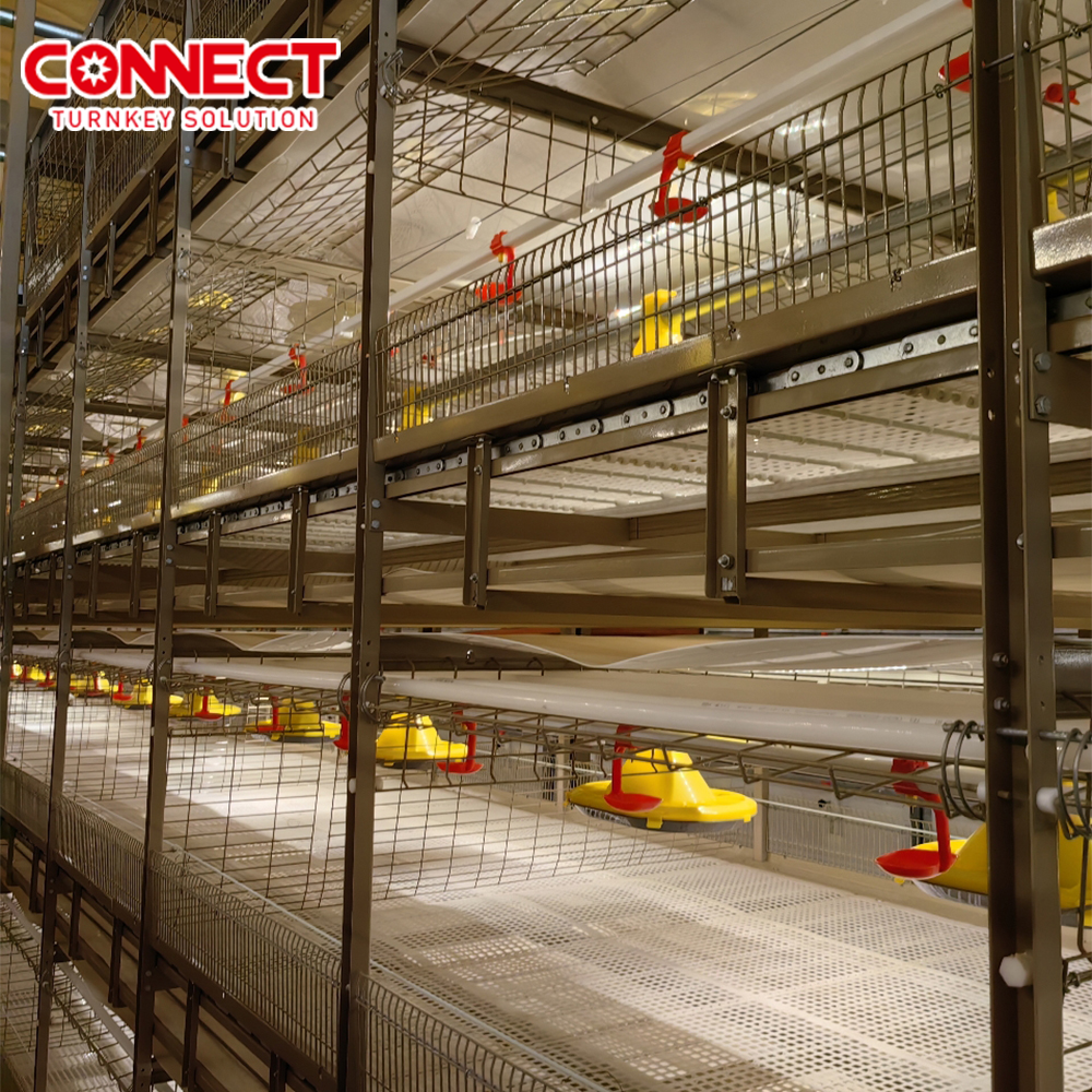 3 4 5 6 Row 6 7 8 9 10 12 Tiers Automatic Poultry Feed Birds Farm Battery Coop System 50000 H Type Chicken Cage For Broilers