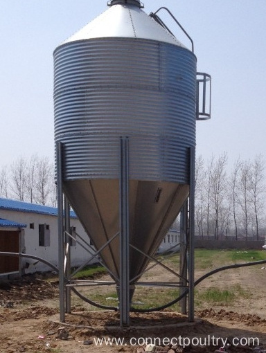 Feed Silo for Chicken house shed feeding equipment / poultry farm main feeding line system