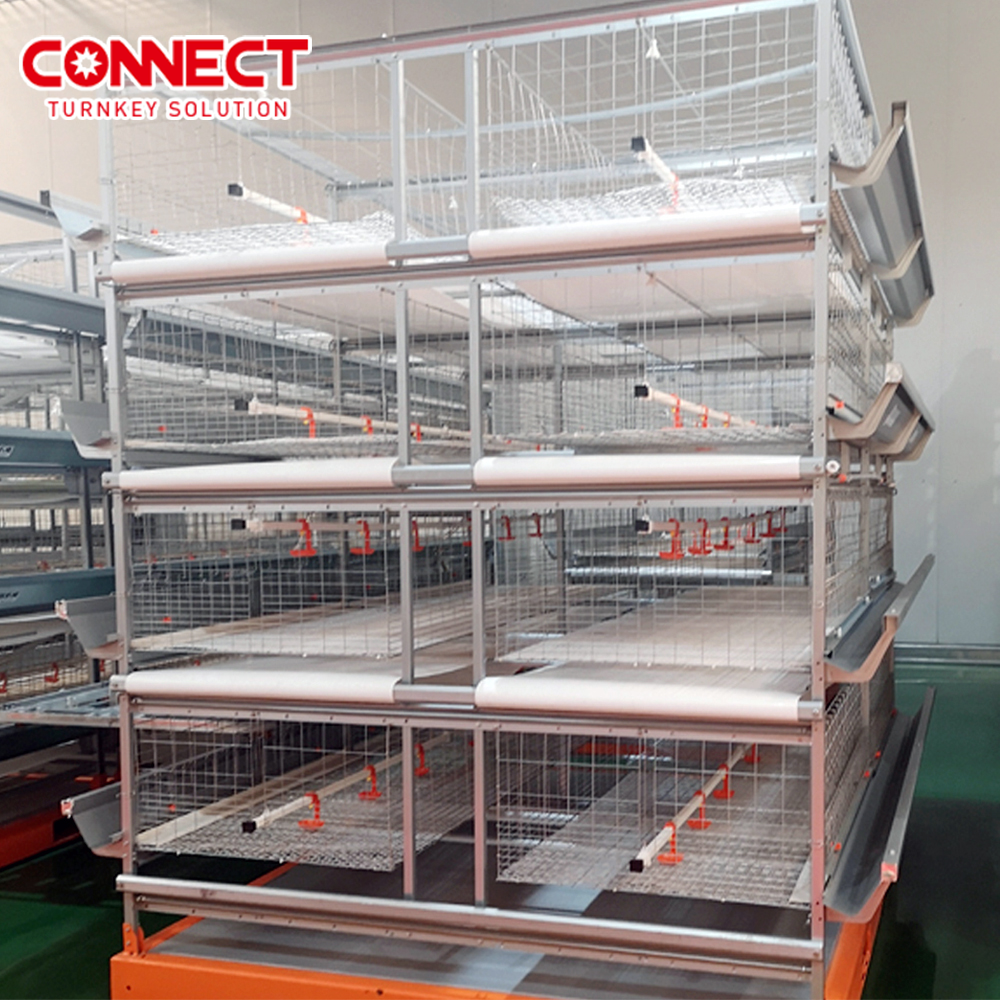 Rooster Cock Hens Farming Automatic Feeders Battery Coop System Commercial Poultry Broiler Chicken H-type Cage For Broiler Sizes