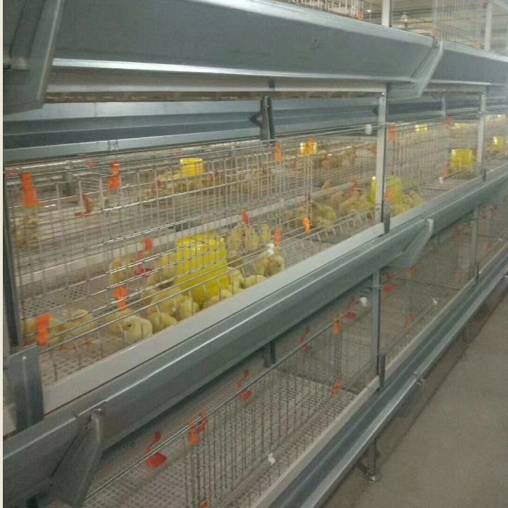 Hot Sale high quality one-stop service Automatic Hens Layer Cage Feeding Equipment for Poultry Farms