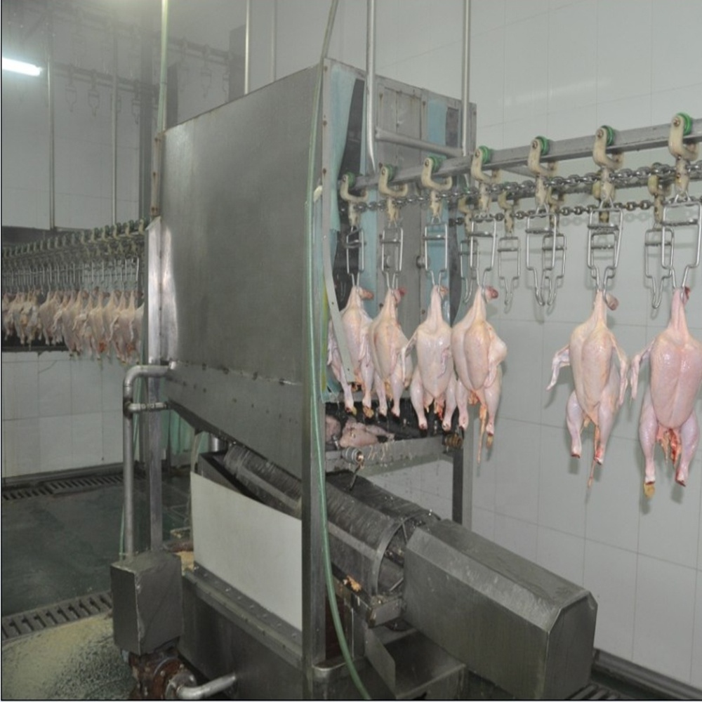 Automatic Slaughterhouse Plant Poultry Processing Abattoir Equipment Plucker Scalder Broiler Chicken Slaughtering System