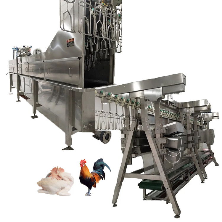 Automatic Poultry Duck Goose Defeathering butcher Abattoir equipment Chicken Scalder And Plucker Machine Broiler Slaughter