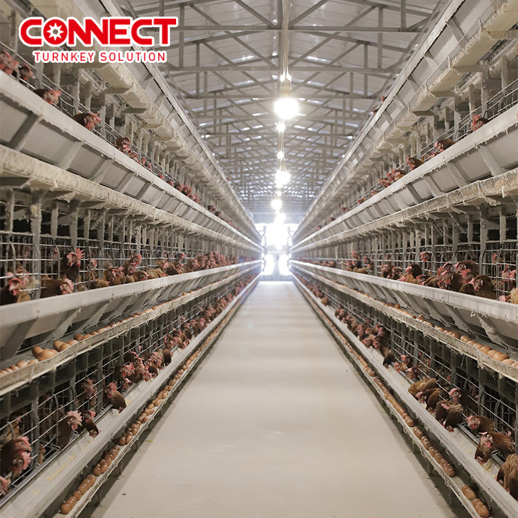 Automatic Quality Material HDG Long Use Life Farming Feed Machine Battery Husbandry System Layer Chick Cages For Poultry Feeding