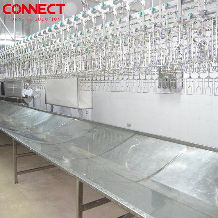 Automatic Poultry Duck Goose Defeathering butcher Abattoir equipment Chicken Scalder And Plucker Machine Broiler Slaughter