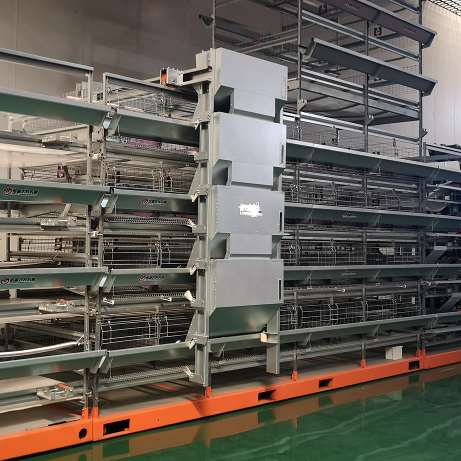 Automatic Poultry Feed Equipment Fowl Laying Hens Farm Egg Layer Chicken Battery Cages System Machine For 50000 Birds