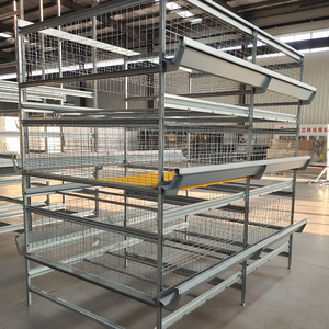 Automatic H Type Animal Poultry Egg Layer Breeder Broiler Feeding Raising Equipment Line Chicken Farm Battery Cage System