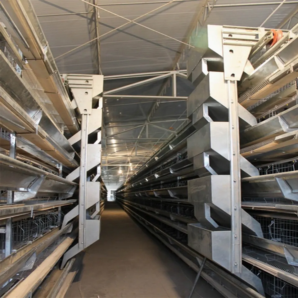 Automatic Poultry Feed Equipment Fowl Laying Hens Farm Egg Layer Chicken Battery Cages System Machine For 50000 Birds