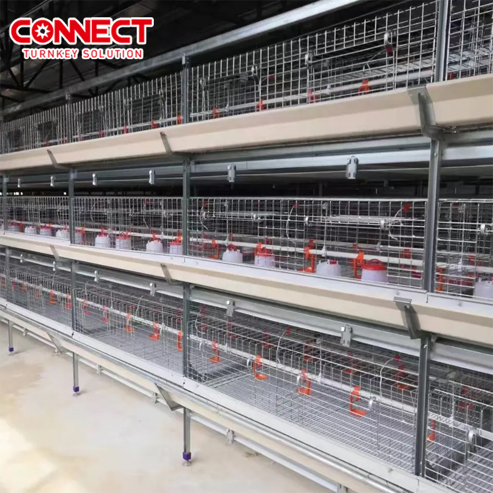 3 4 5 6 Row 6 7 8 9 10 12 Tiers Automatic Poultry Feed Birds Farm Battery Coop System 50000 H Type Chicken Cage For Broilers