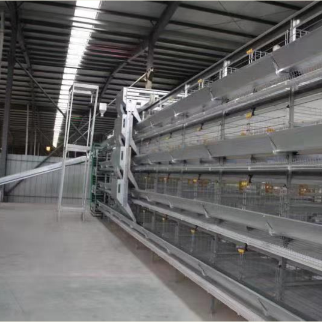 Hot Sale high quality one-stop service Automatic Hens Layer Cage Feeding Equipment for Poultry Farms