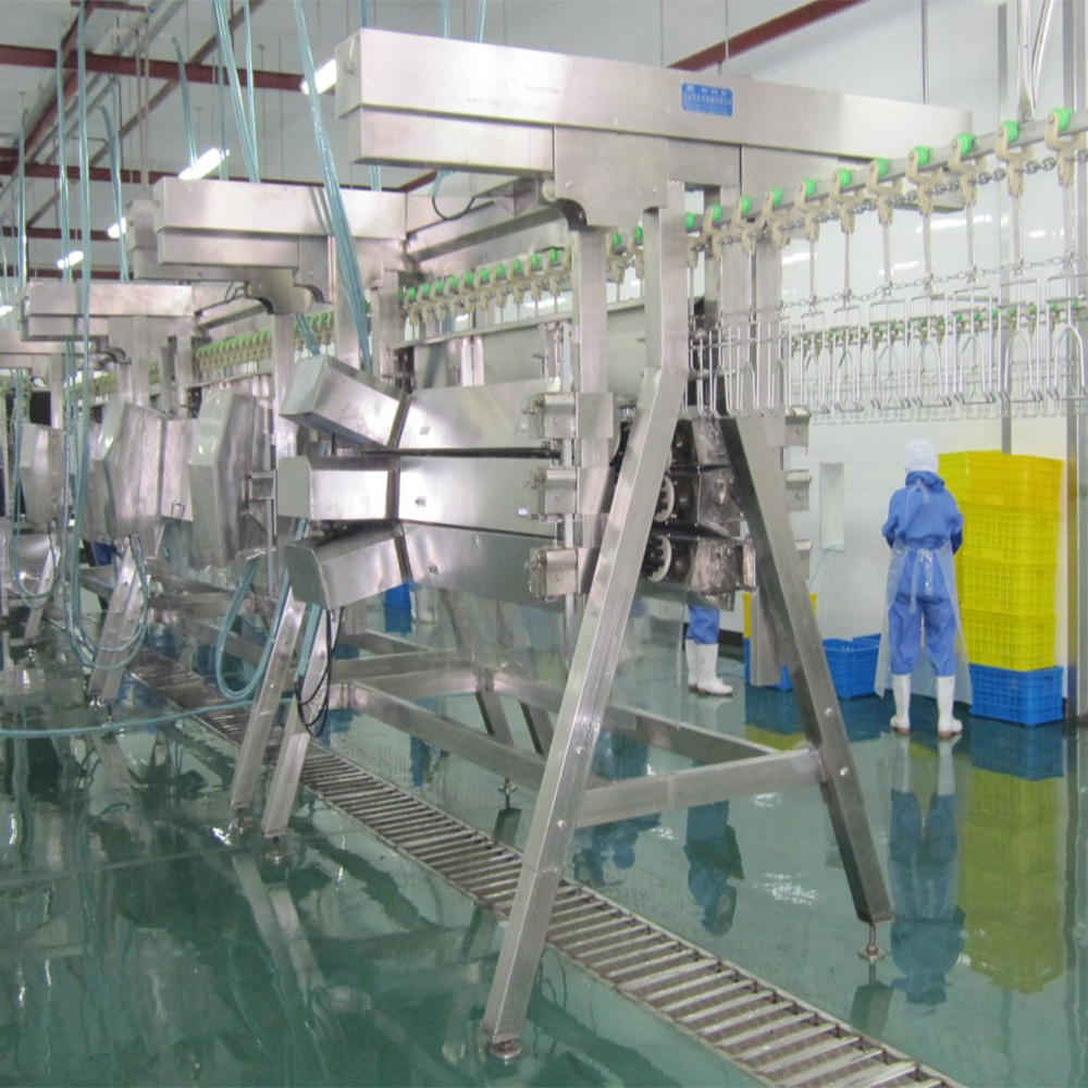 Customized Complete poultry chicken farm turnkey project slaughterhouse processing line plant machinery