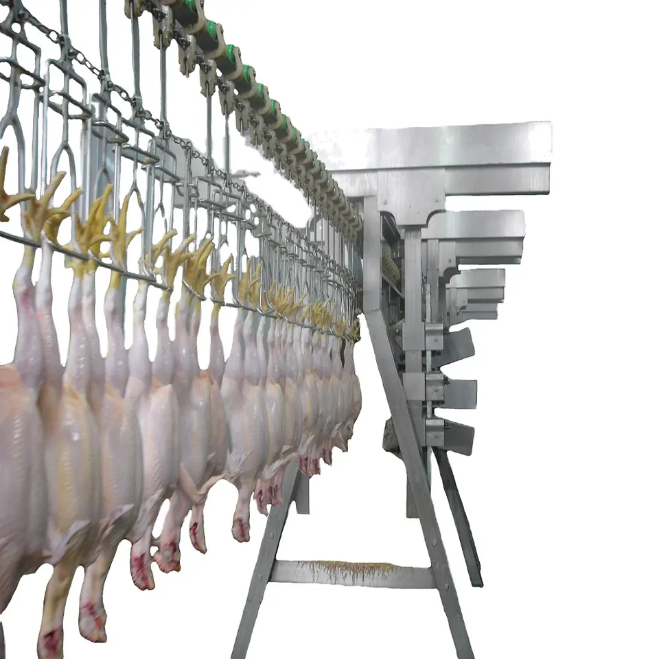 Automatic Poultry Duck Goose Defeathering butcher Abattoir equipment Chicken Scalder And Plucker Machine Broiler Slaughter