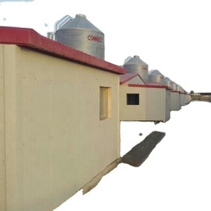 Feed Silo for Chicken house shed feeding equipment / poultry farm main feeding line system