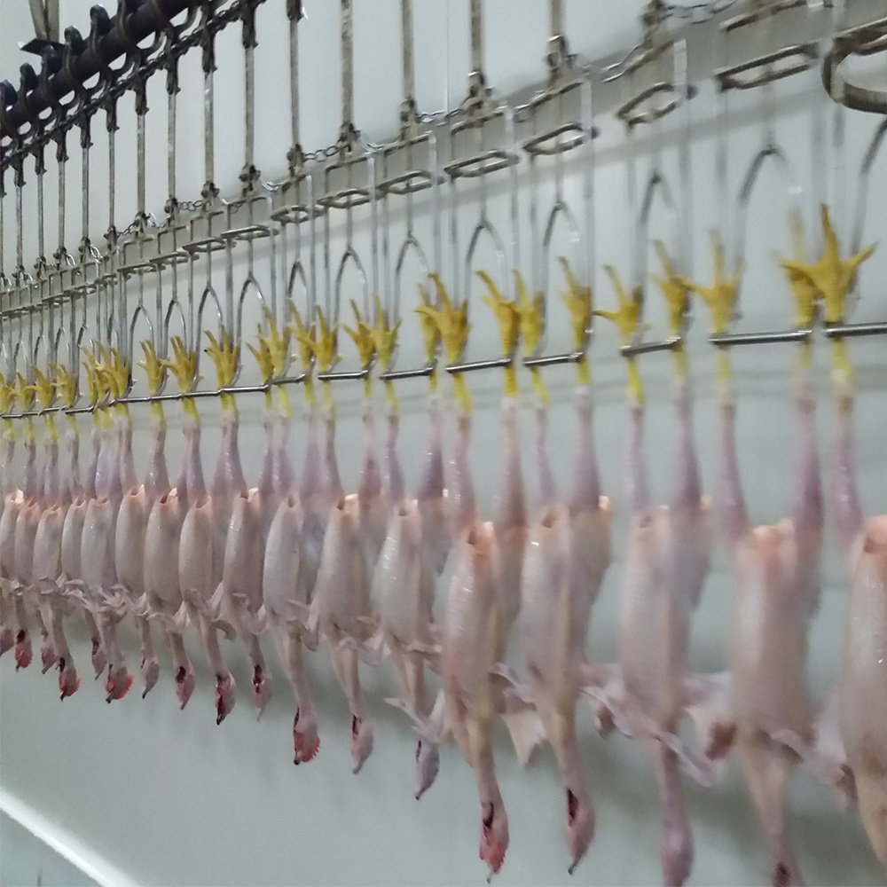 halal poultry abattoir slaughterhouse processing conveyor line shackles for hanging feet