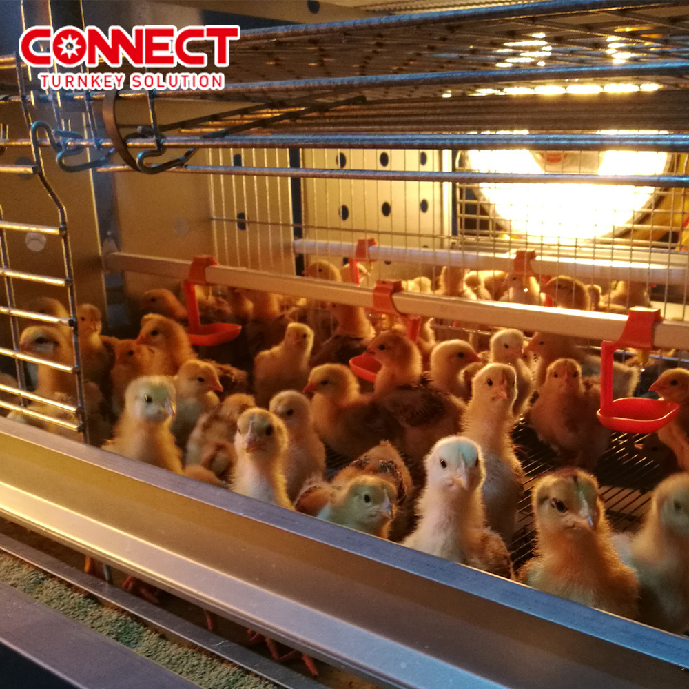 Poultry Cage Battery Rooster Farming Equipment Automatic Chicken Cage System Laying Hen Broiler Chicken Cage For Chook House