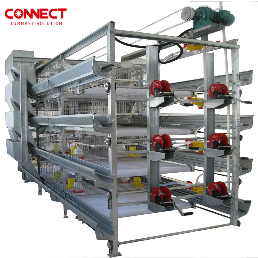 3 4 5 6 Row 6 7 8 9 10 12 Tiers Automatic Poultry Feed Birds Farm Battery Coop System 50000 H Type Chicken Cage For Broilers