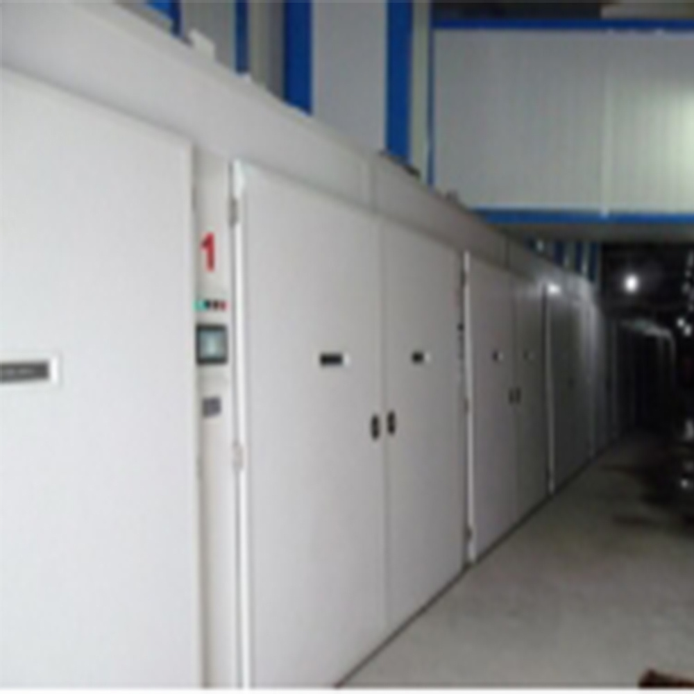 Broiler Chicken Farm Industrial 10000 Eggs Automatic Incubator Hatching Eggs for sale