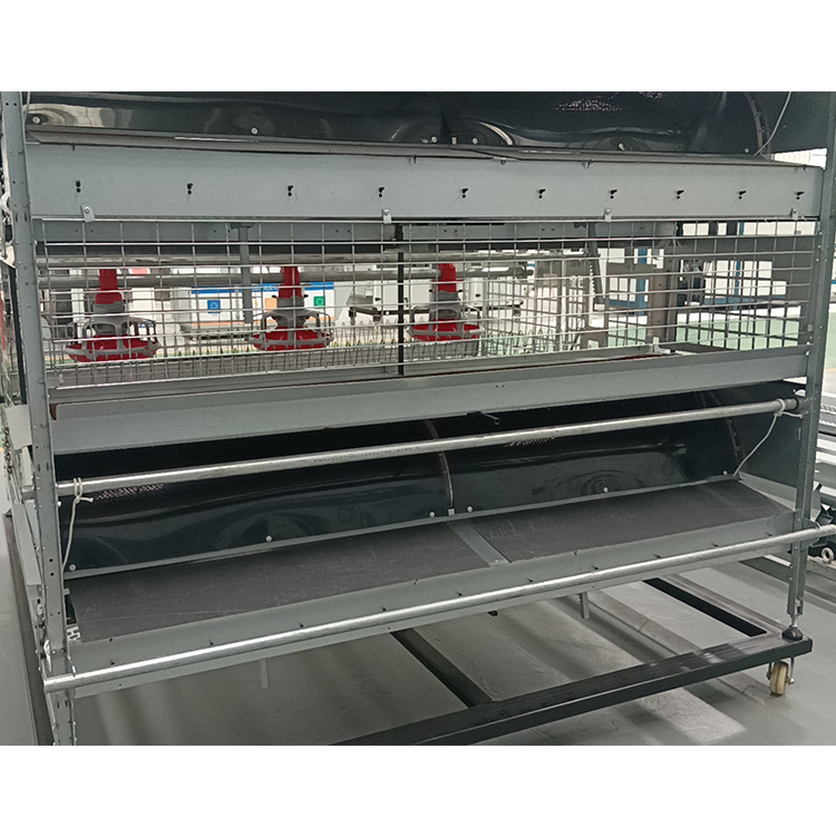 Automatic H Type Animal Poultry Egg Layer Breeder Broiler Feeding Raising Equipment Line Chicken Farm Battery Cage System