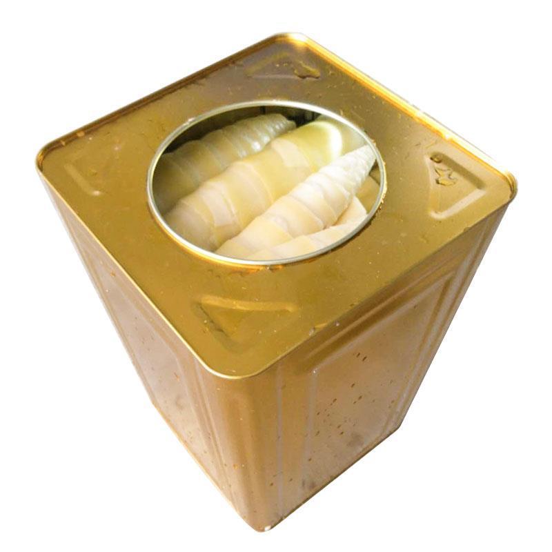 High Quality Fresh Water Canned Bamboo Shoot