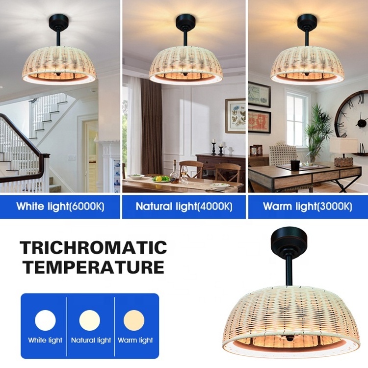 New Arrival Home Decorative 20 Inch ABS 3 Blades Reversible DC Motor Remote Control Bldc Led Ceiling Fan With Light