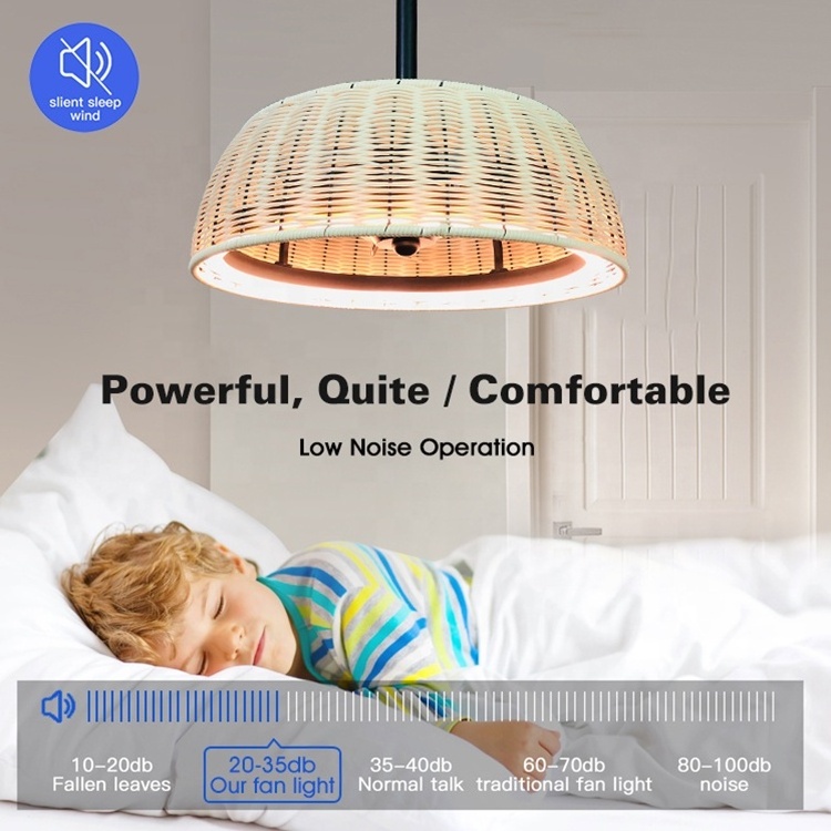 New Arrival Home Decorative 20 Inch ABS 3 Blades Reversible DC Motor Remote Control Bldc Led Ceiling Fan With Light