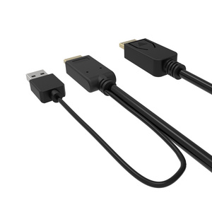 High Quality HDMI to DP DisplayPort Cable Adapter with USB/A Charging