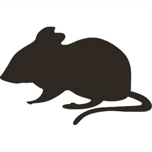 Large Rat/Mouse Blackboard Chalkboard Sticker House Wall Decal Sticker