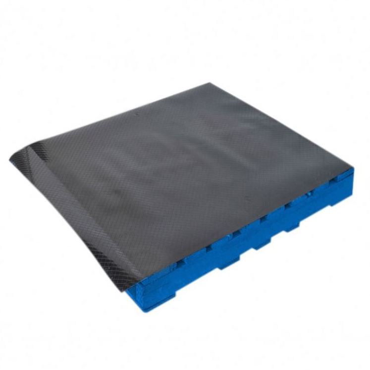 Reusable Professional Plastic White Slip Sheet For Pallet With Low Price