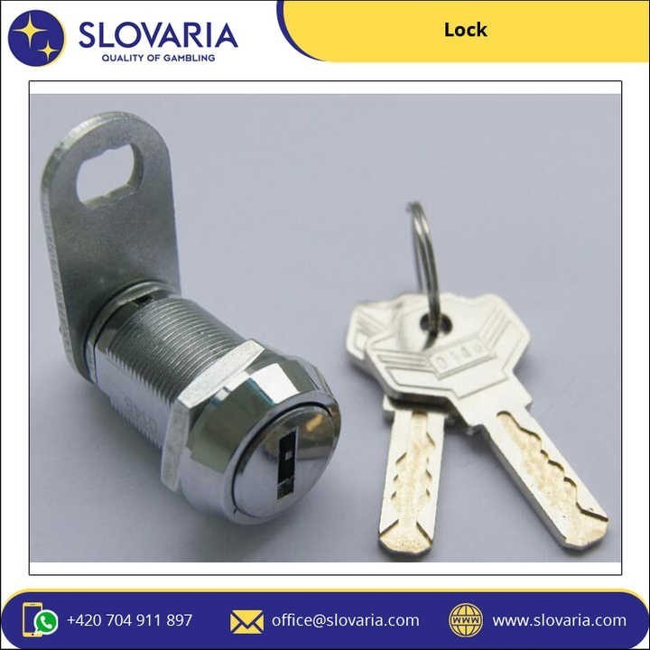 High in Quality High Security Stainless Steel SS 304 Made Camlock Lock for Doors, Drawer, Cabinets with 4000 Lock Combinations