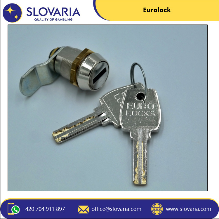 Affordable Price Highest Selling Double D Fixing Hole Shape Euro Locks from Czech Republic Origin Seller