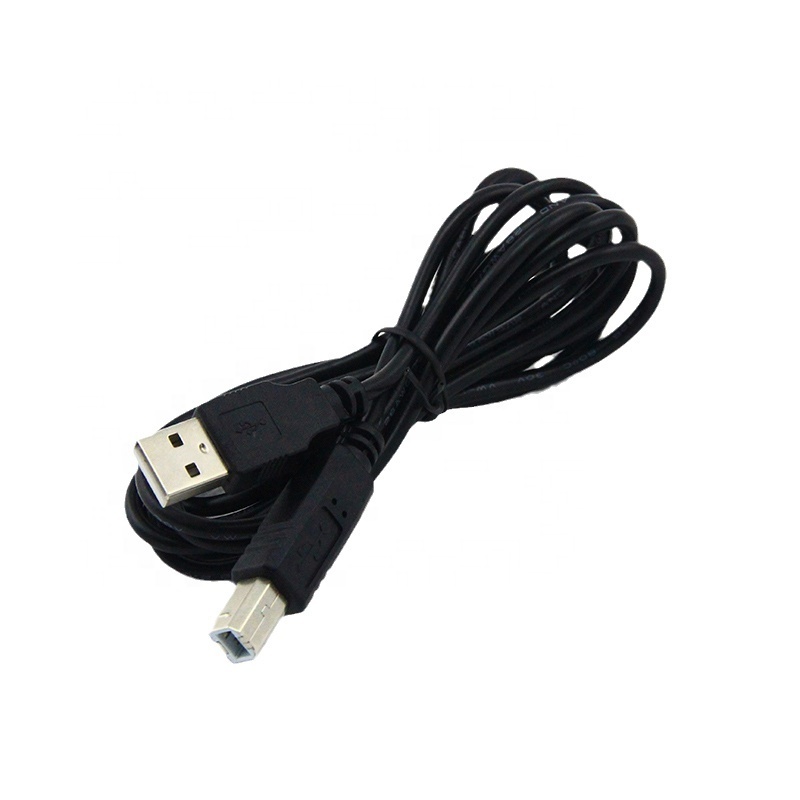 USB AM to BM Printer Cable