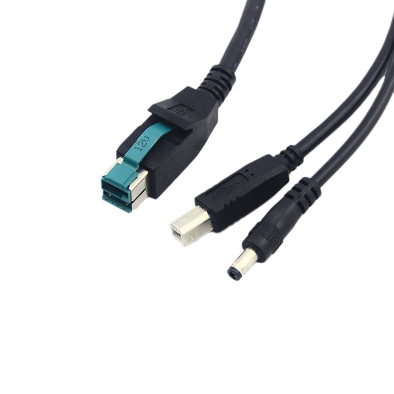 12V PoweredUSB to Y splitter DC5521 plug and USB b male cable