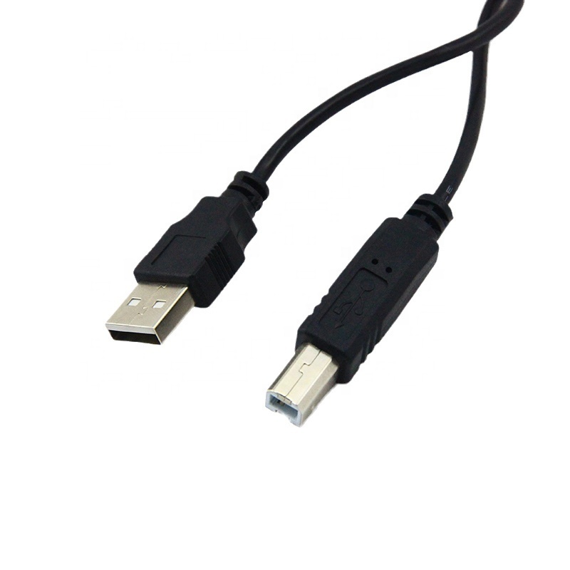 USB AM to BM Printer Cable