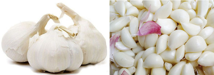 Easy Operate Automatic Garlic Peeling Machine Industrial Garlic Peeler Peeling Onion Machine