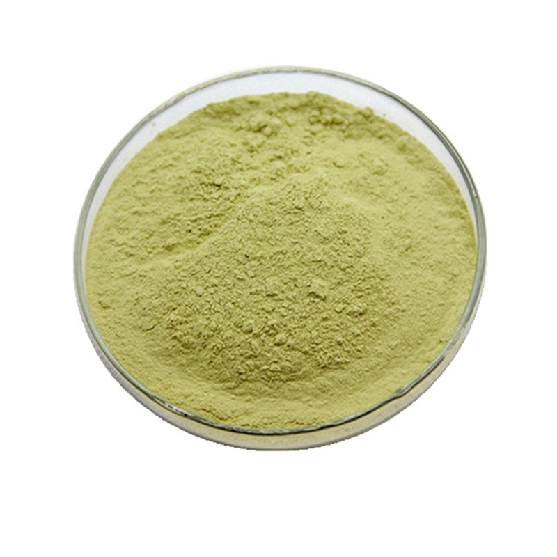 Isoquercetin Powder Healthcare Supplement Organic Sophora Japonica Extract