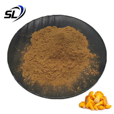 Cantharellus Cibarius Powder Natural Chanterelles Mushrooms Extract Powder