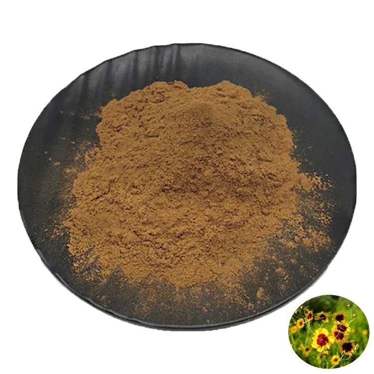 Snow Chrysanthemum Extract Powder Wholesale  Pure Snow Chrysanthemum Extract Powder