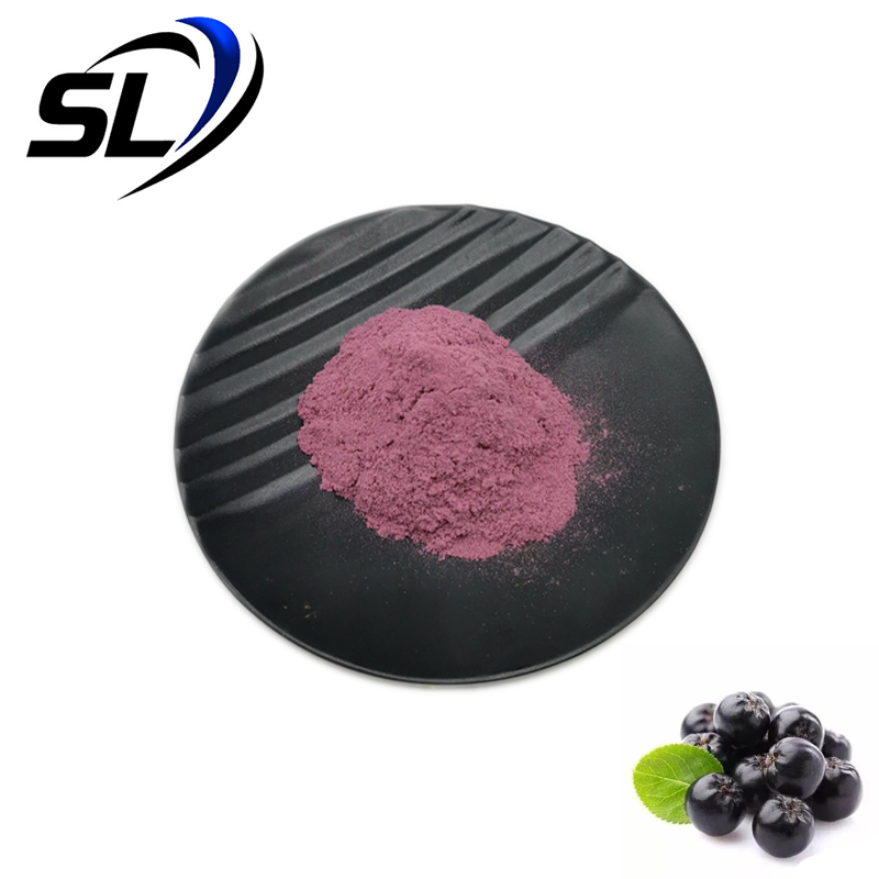 Top Quality Natural Pure Aronia Berry Extract Black Chokeberry Extract Powder